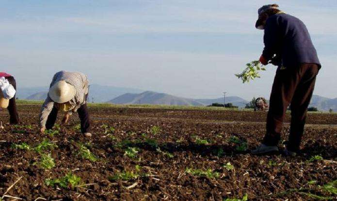 Η Πειραιώς στηρίζει όσους αγρότες επλήγησαν από την κακοκαιρία- Ποιοι είναι οι δικαιούχοι